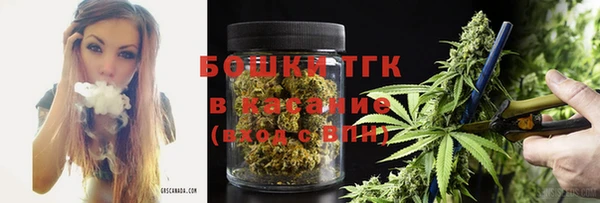 молекула духа Белокуриха