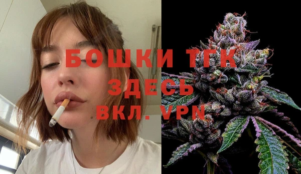 СК Богородск