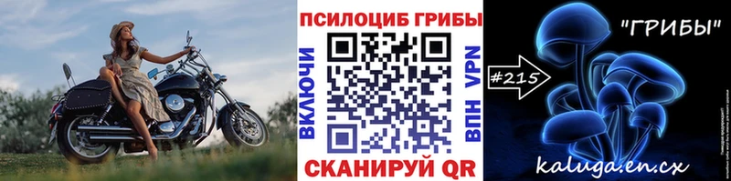 ссылка на мегу маркетплейс  Вязьма  Галлюциногенные грибы Psilocybine cubensis 